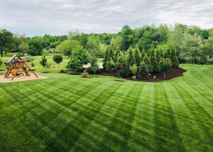 433614823_122181582020009432_8998448368645035055_n